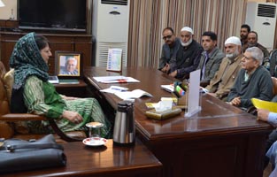 Deputations from Hajin, Ajas meet Chief Minister
