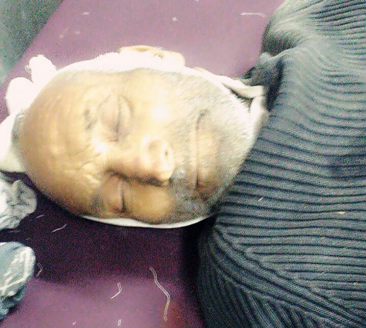 Elderly man hit by police vehicle at Delina, dies