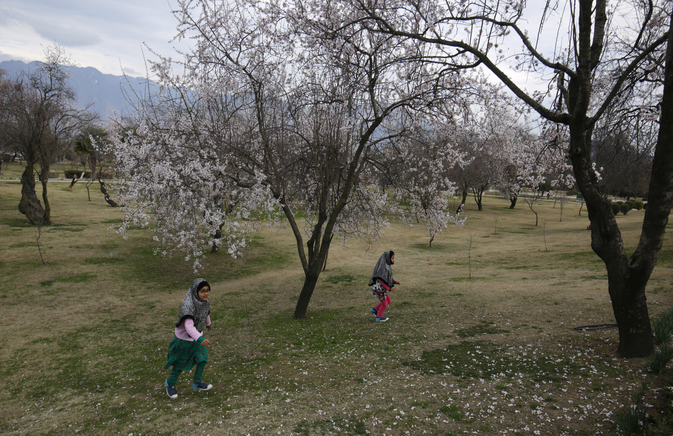 With unusually low precipitation this winter followed by marked rise…