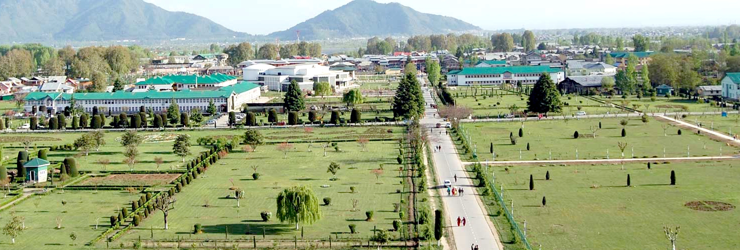 KU Undergrads left in Lurch