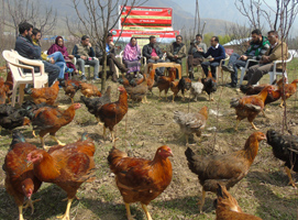At Scientist-Press meet, KVK-G’bal unveils Horti-Poultry Model