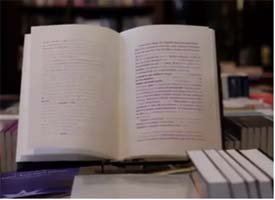 India through the glass darkly