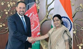 Swaraj holds talks with Afghan Defence Minister