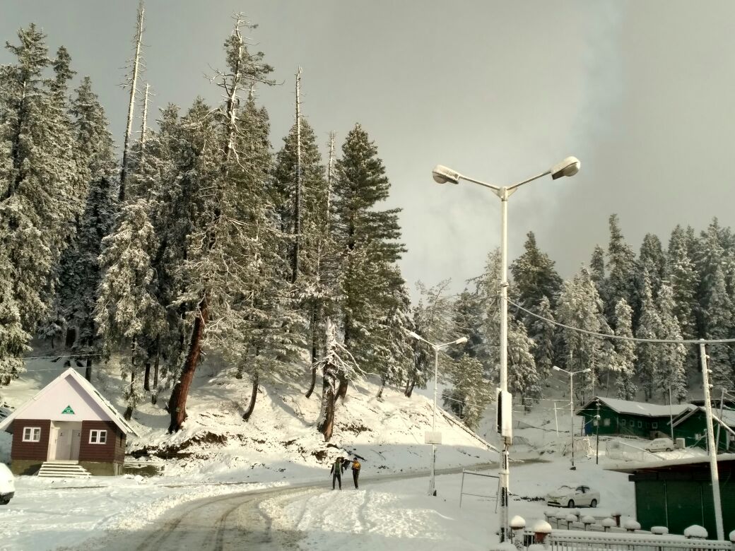 Valley shivers in Spring