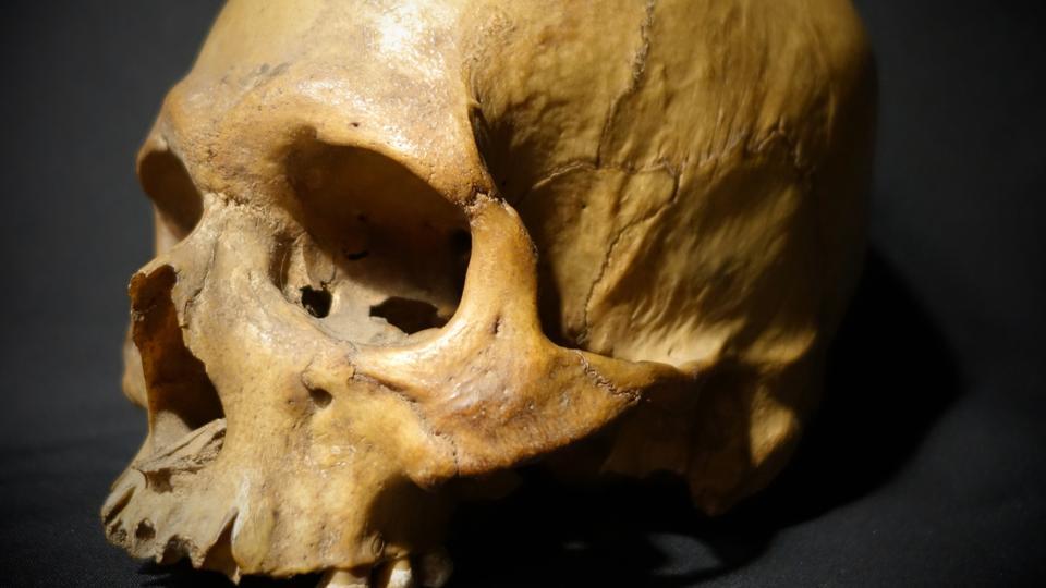 UK historian wants 1857 revolt soldier’s skull buried in India