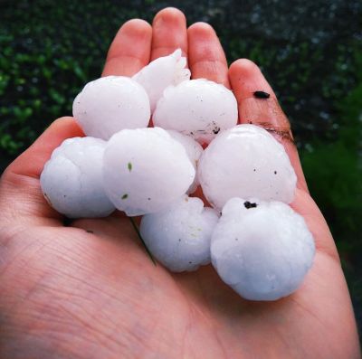 Heavy hailstorm hammers down fruits, vegetables crops in Baramulla district