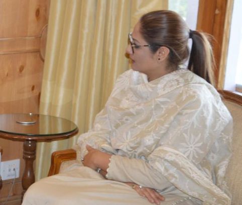 Chairperson KVIC meets Governor