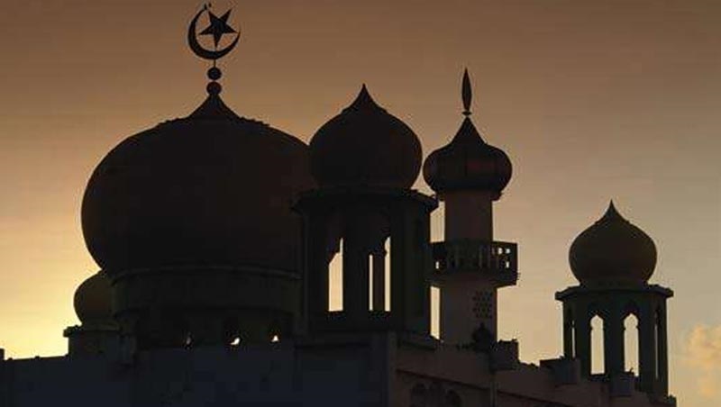 Austria to expel up to 60 imams, shuts 7 mosques