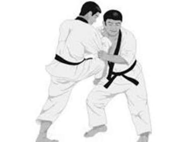 Ganderbal Karata Championship concludes 