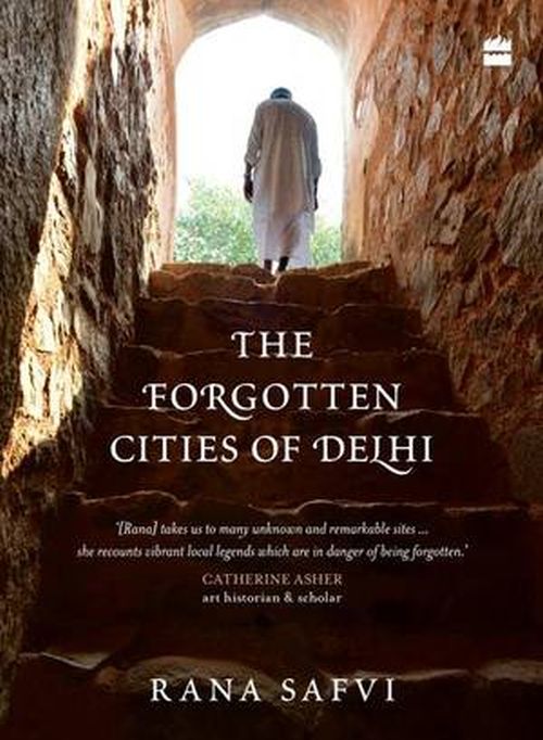 The Forgotten Cities of Delhi review: Poetry among the ruins