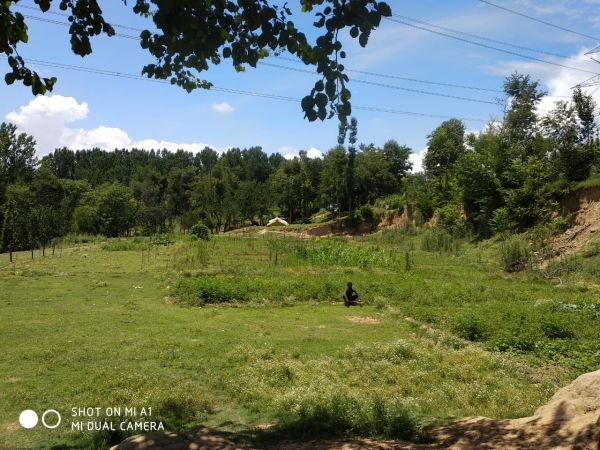 Erstwhile playground turned into cultivation land in Kulgam’s Badroo Village