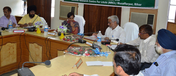 Horticulture Deptt officers learn about Litchi cultivation techniques