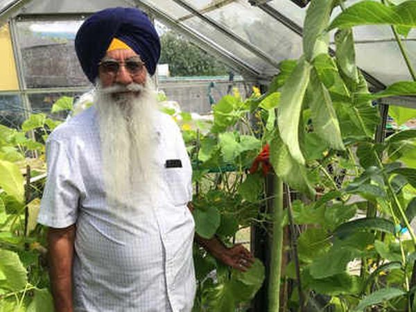 Indian-origin man in UK grows world’s longest cucumber; says prayer is his secret to success