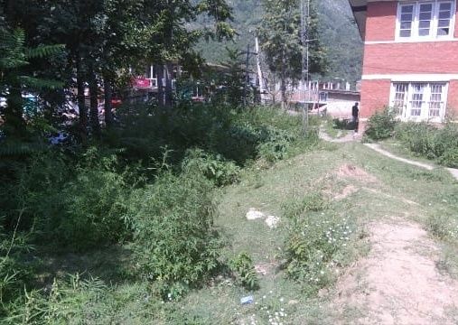 Visitors irked as shrub weeds, muck engulf Tehsil Headquarter Uri