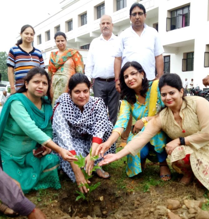 Funds Organization organizes plantation drive