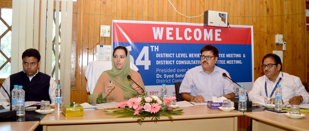 J&K Bank Lead District Office convenes DLRC/DCC meeting