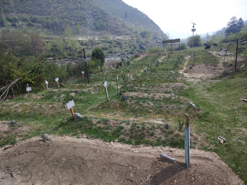 Two militants killed in Bandipora encounter