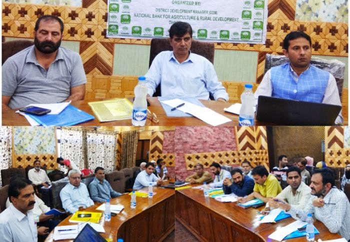 NABARD organizes workshop on DEDS, other schemes in Kupwara