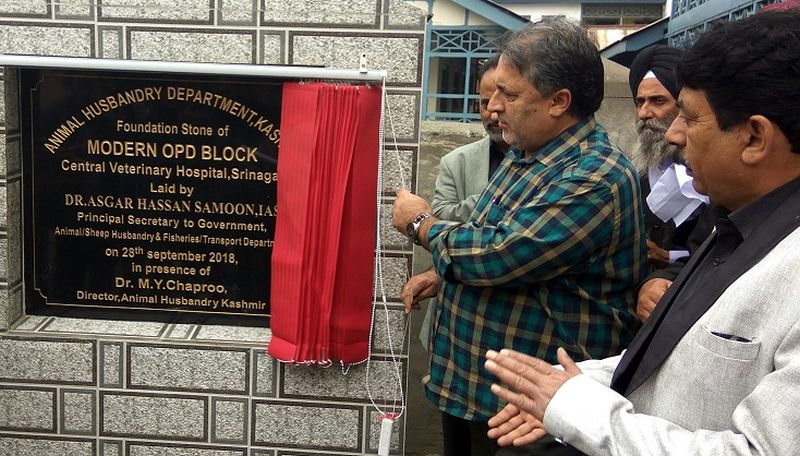 Samoon inaugurates free anti-rabies vaccination camp for pets