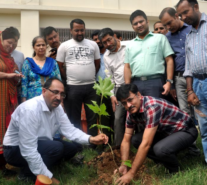 DIPR conducts plantation drive at Media Complex Jammu