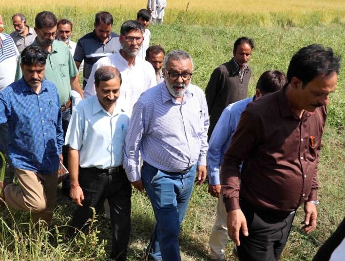 Director Agriculture visits hailstorm-affected areas