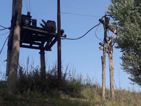 Residents of Safanagri village demand replacement of decayed wooden electric poles