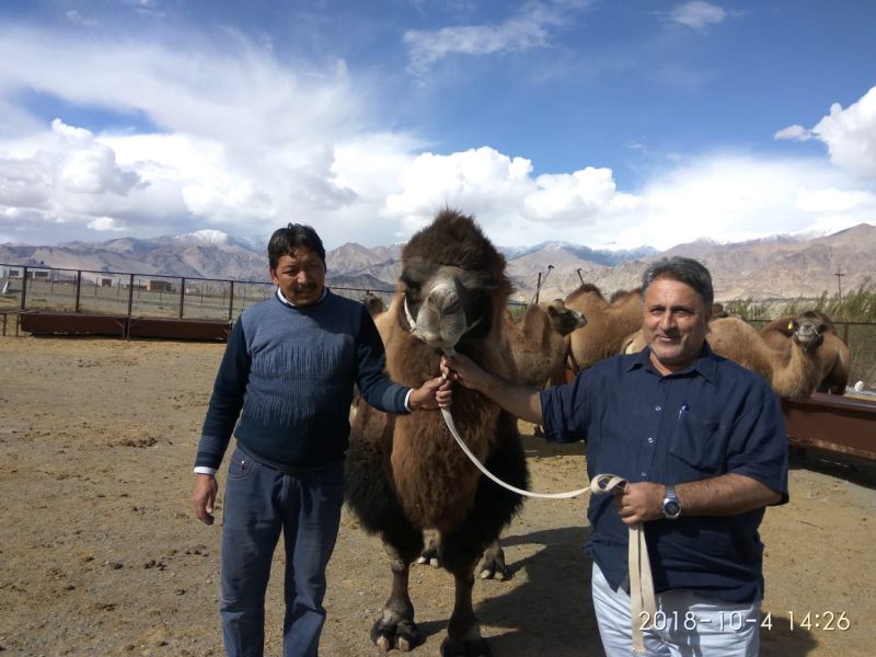 Dr Samoon for starting camel safaris for tourism promotion in Ladakh