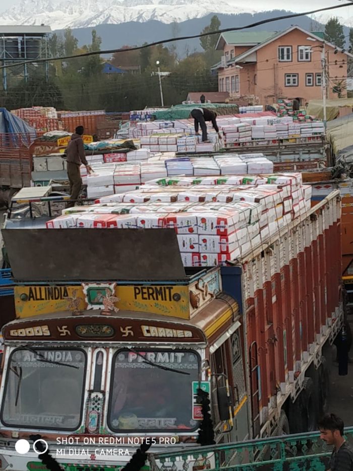 Bumper crop! 30 lakh apple boxes dispatched till date from Shopian district to other Fruit Mandis