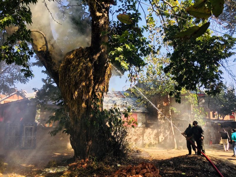 Fire damages septuagenarian Chinar tree in Budgam