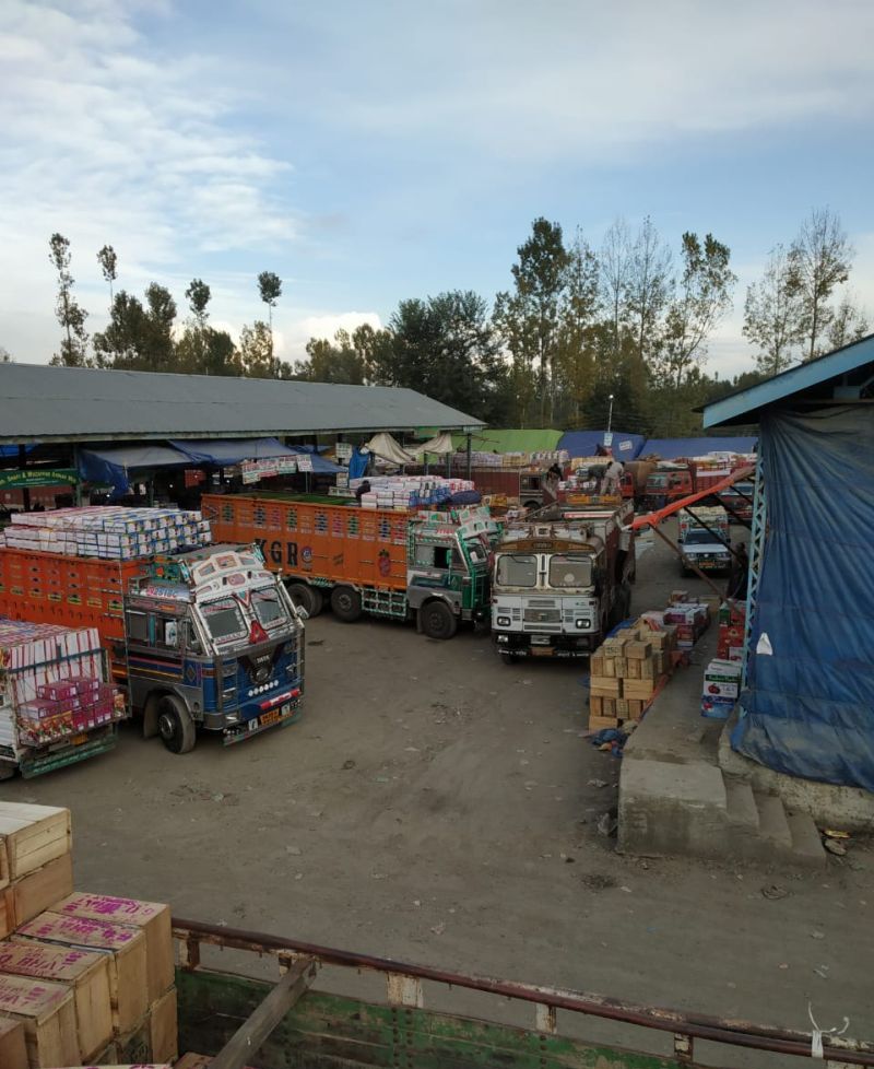 Lack of space at Arhama fruit Mandi: Growers, traders urge opening of Aglar Fruit Mandi