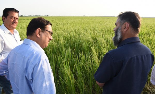 Secretary Agriculture Production inspects Seed Multiplication Farm Chinore