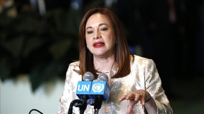 UNSC reform process depends on will, political commitment of member states: GA President Espinosa