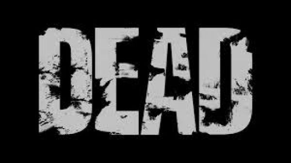 Stray dogs maul 4-yr-old to death in Samba