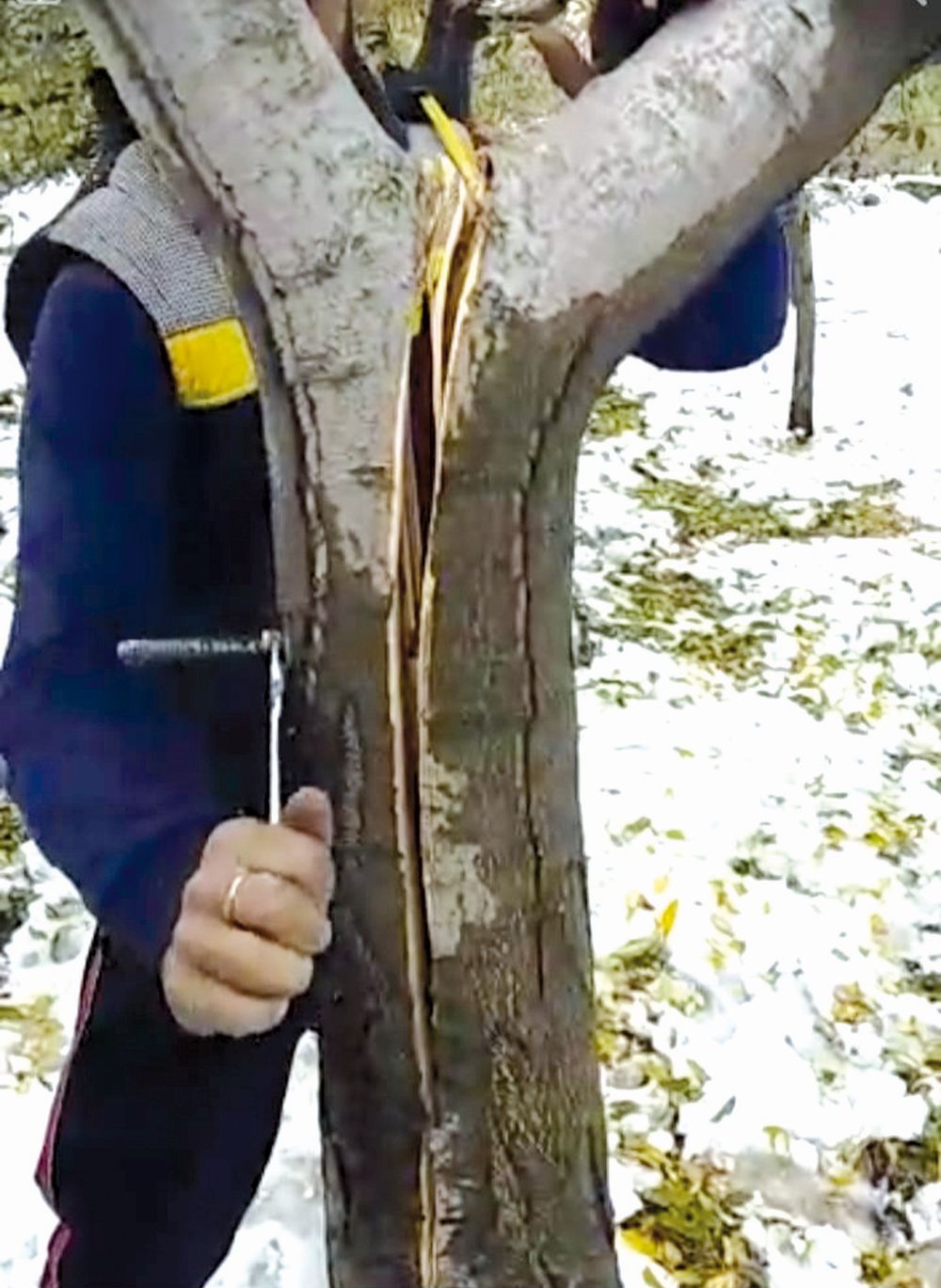 Fruit growers in south Kashmir throng hardware shops for buying iron bolts