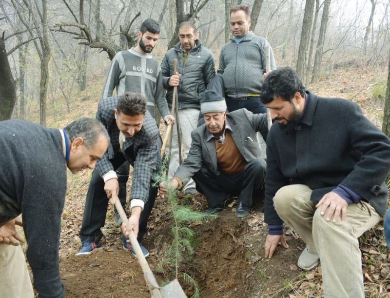 Plantation drive organized by Urban Forest Division Srinagar