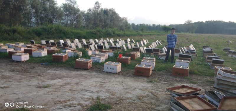Youth starts ‘rare’ beekeeping business in Pulwama