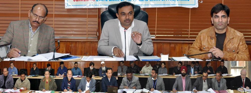 DDC Jammu chairs DLRC, DCC meet