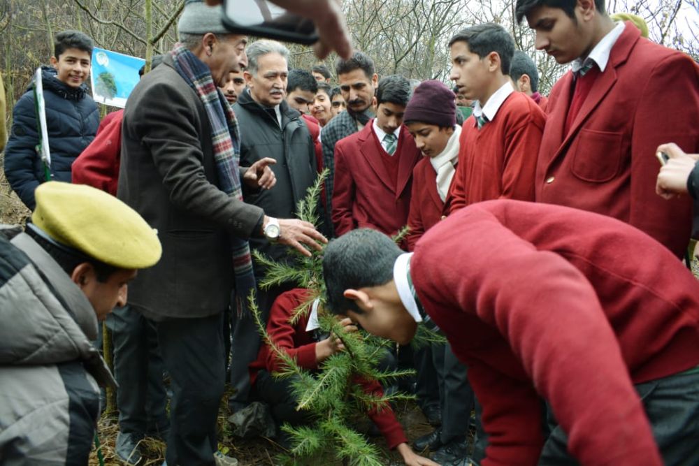 Forest dept organizes plantation drive at Zabarwan Hills