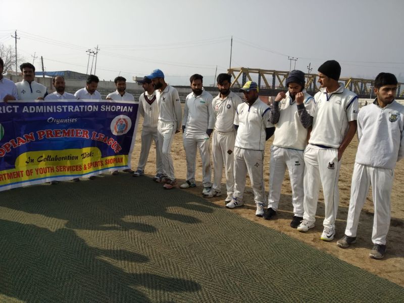 Root 2 Fruit emerges champions