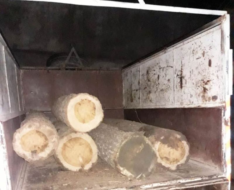 Illicit timber seized in Sopore