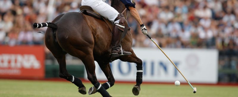 2-day Horse Polo tourney starts in Kargil