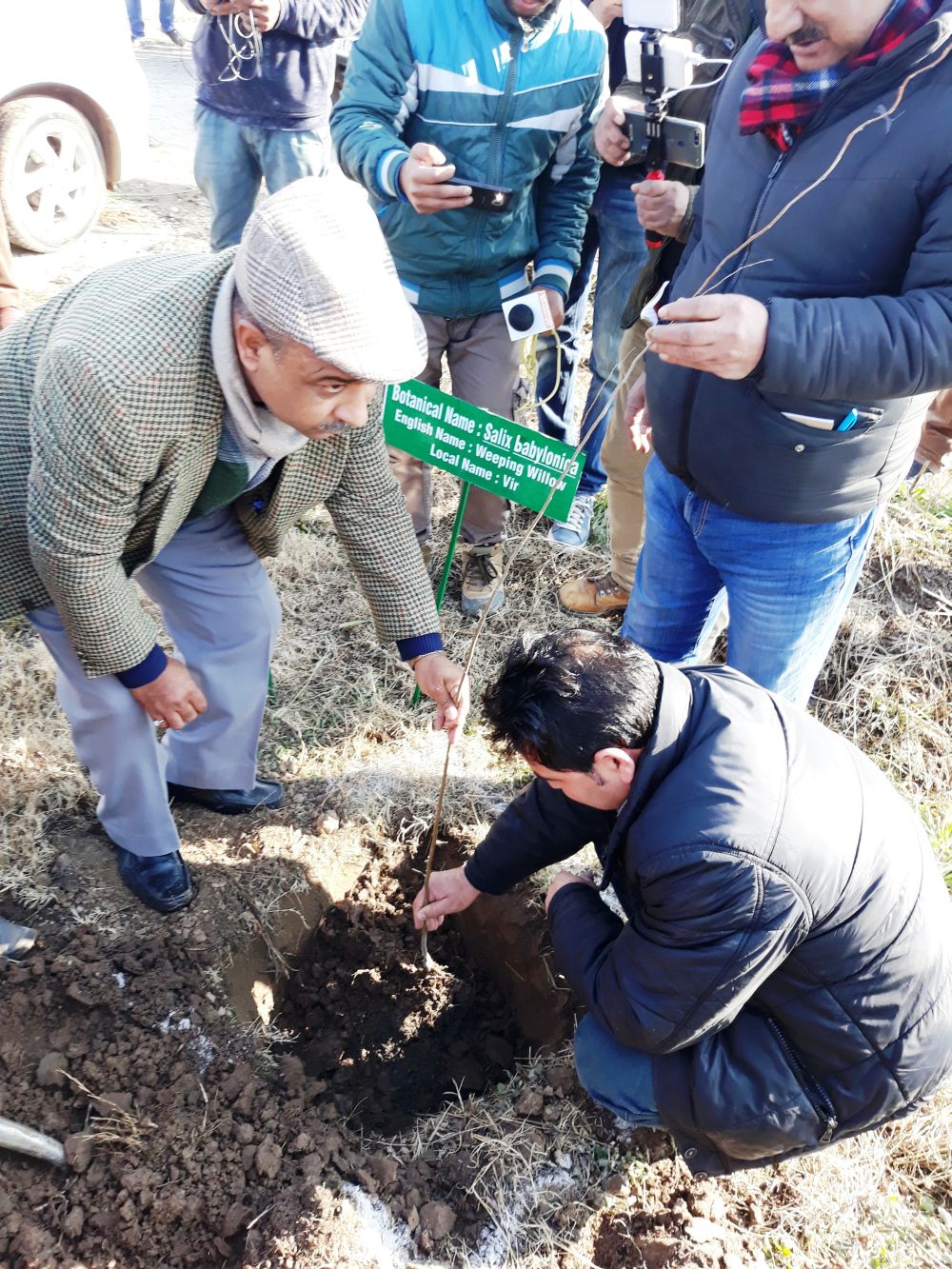 Dir Social Forestry launches plantation drive