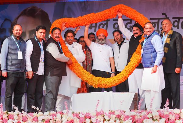 ‘KPs facing injustice, J&K LG should apologise to them for his comments’