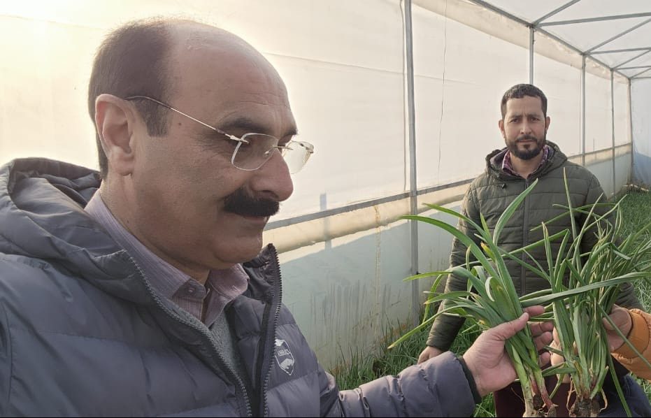 Vegetable seedling distribution to continue in a phased manner: Director Agri