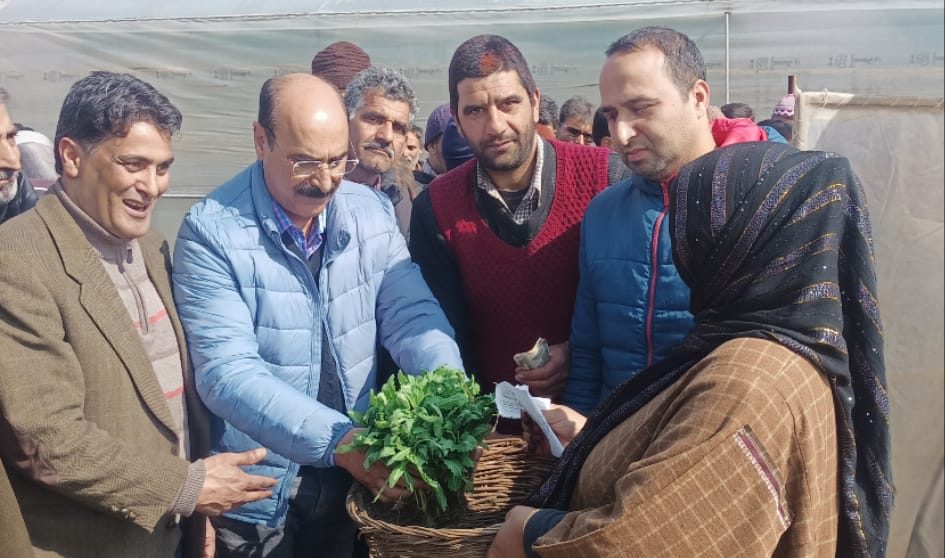 Vegetable seeding distribution campaign to continue across valley: Ch. Iqbal