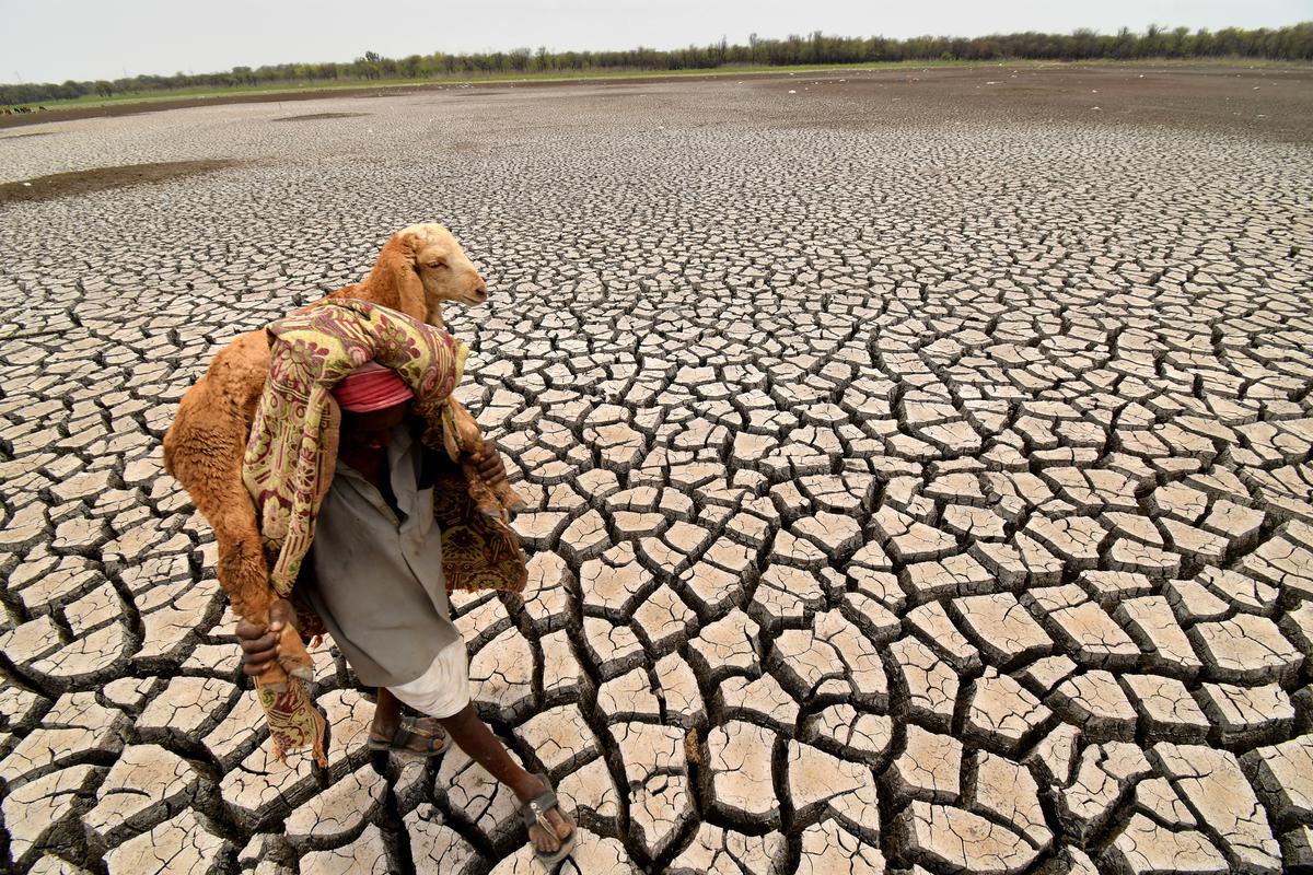 El Nino expected to return, likely to fuel spike in global temperatures: WMO