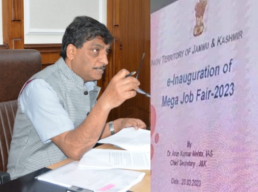 3000 jobs on offer by 110 private companies; 542 placements made on-the-spot: Govt