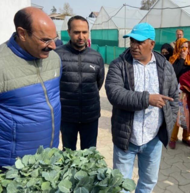 Educated youth should come forward and take vegetable cultivation as a full-time enterprise: Dir Agriculture