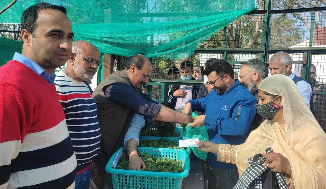 Director Agri Kmr inaugurates distribution of hybrid vegetable seedlings