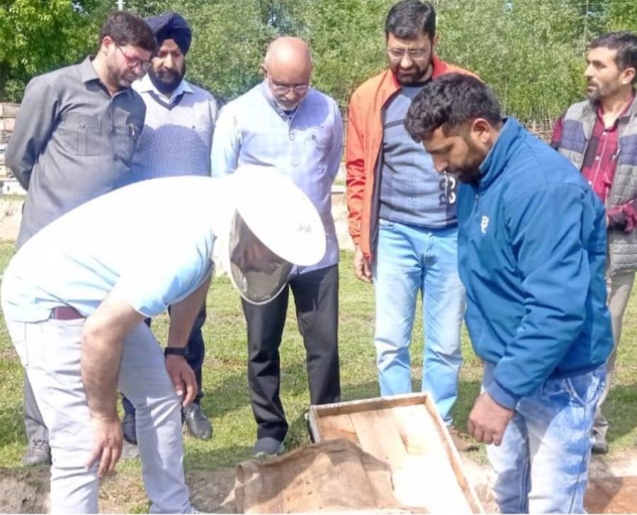 Agri deptt endeavoring to attract more educated youth toward diverse agriculture activities: Director